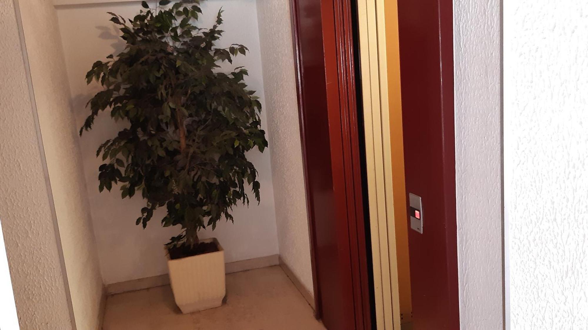 Klipfel Little Venice Appartement Colmar